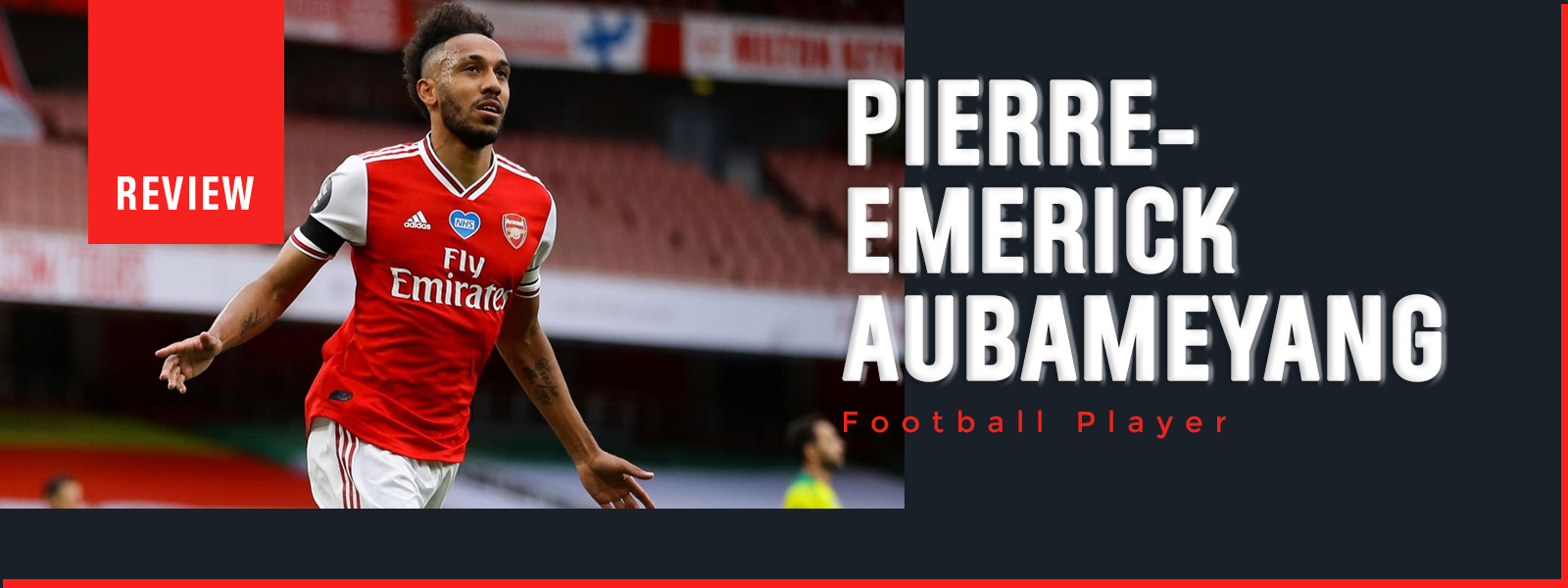 Pierre-Emerick Aubameyang Professional Footballer